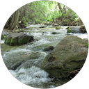 W Gerken profile picture