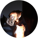 Arend Hordijk profile picture